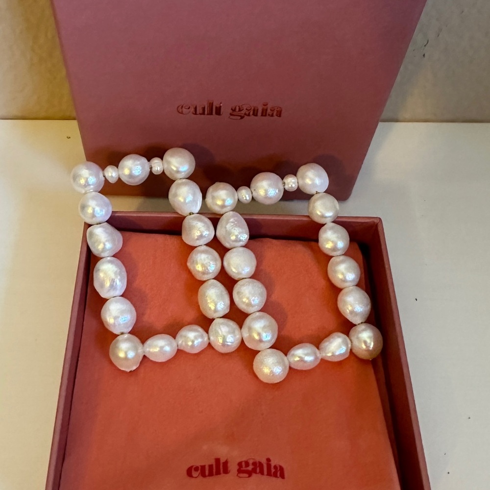 Cult Gaia Dita earrings